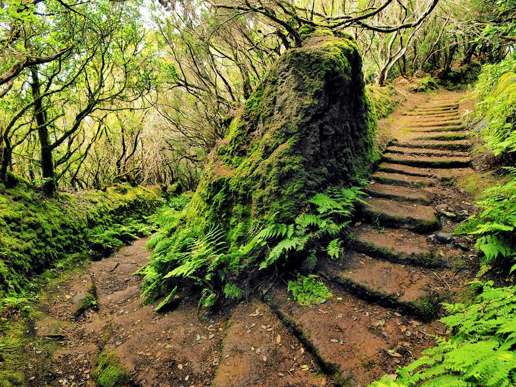 Casa Villa Tenerife ลัสกาเยตัส ภายนอก รูปภาพ